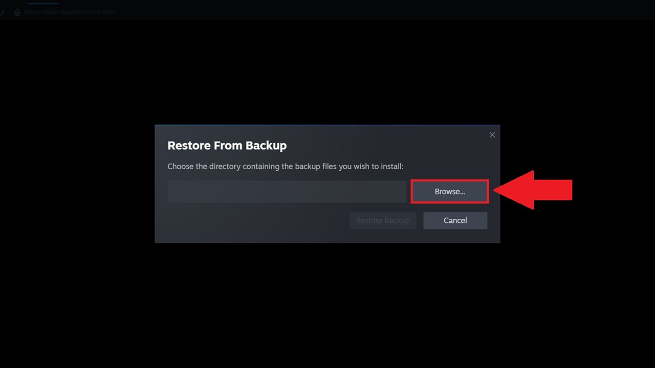 how to install steam backup